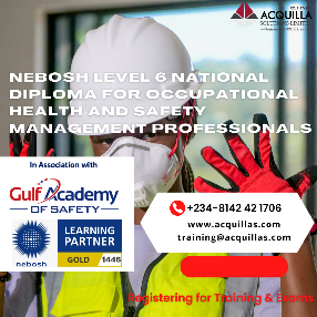 NEBOSH Level 6 Diploma.png